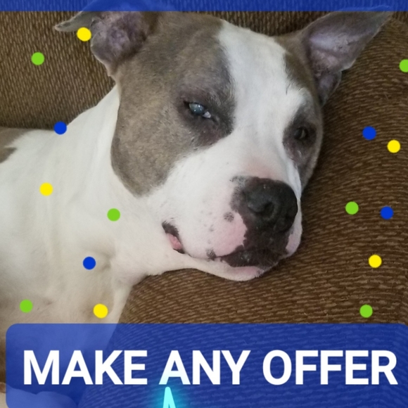 Meet your Posher, Karri - Picture 3 of 4